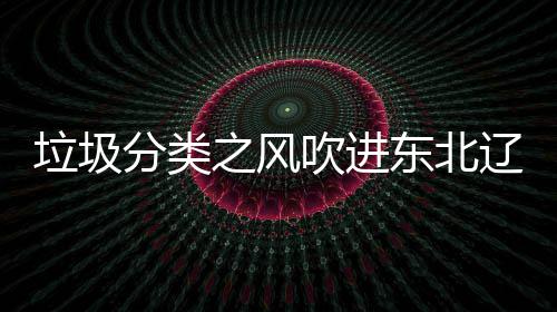 之风东北垃圾辽宁类垃圾桶吹进启用分类沈阳四分
